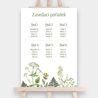 Zasedací pořádek