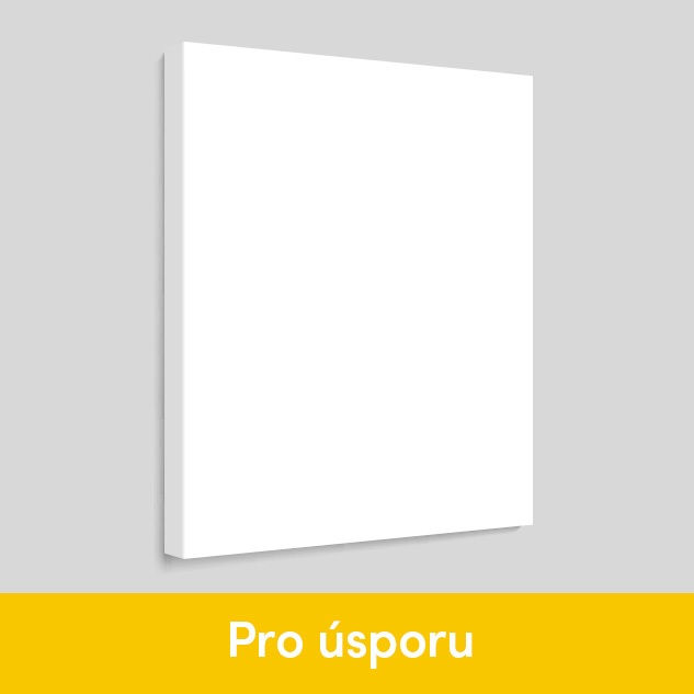 Fotoobraz na plátno Minima