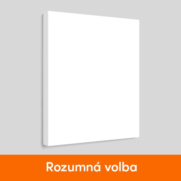 Fotoobraz na plátno Trendy